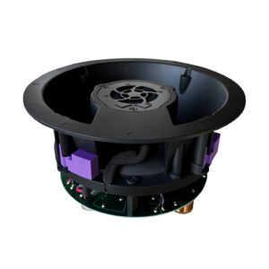 Wisdom Audio INSIGHT-ICI6